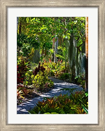 Framed Nature Trail in Charlestown on Nevis, West Indies Print