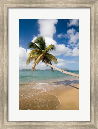 Framed Coconut Grove Beach, Cades Bay, St Kitts, Caribbean Print