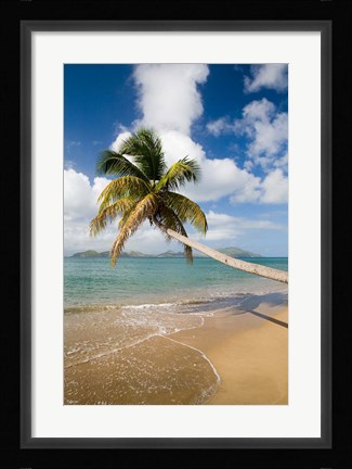 Framed Coconut Grove Beach, Cades Bay, St Kitts, Caribbean Print