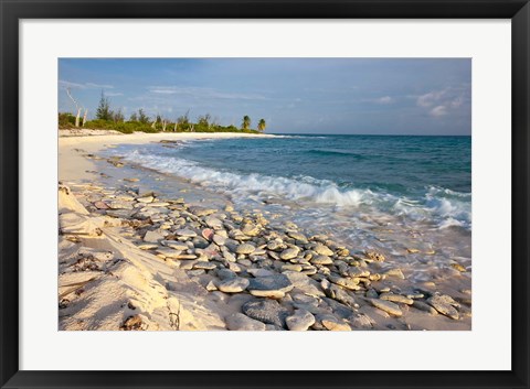 Framed Waves, Coral, Beach, Punta Arena, Mona, Puerto Rico Print