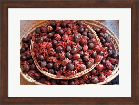 Framed Nutmeg in Public Market, Castries, Caribbean Print