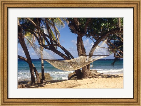 Framed Hammock tied between trees, North Shore beach, St Croix, US Virgin Islands Print
