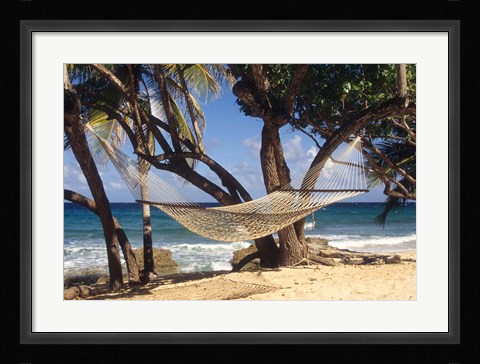 Framed Hammock tied between trees, North Shore beach, St Croix, US Virgin Islands Print