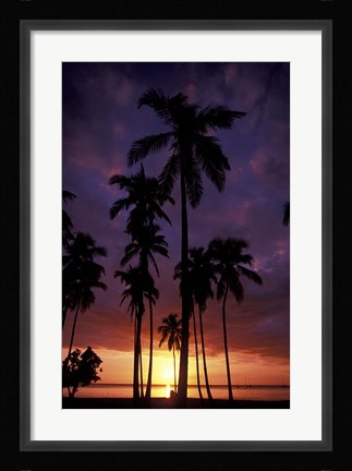 Framed Palm Trees at Sunset, Puerto Rico Print