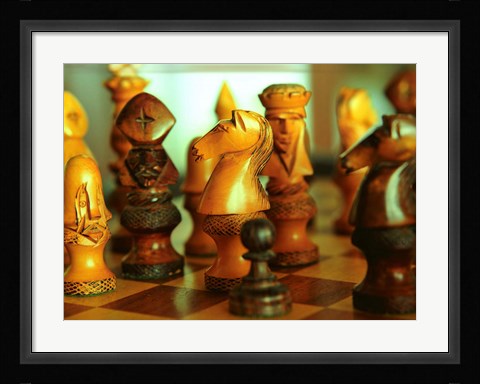 Framed Horned Dorsett, Rincon, Puerto Rico Print