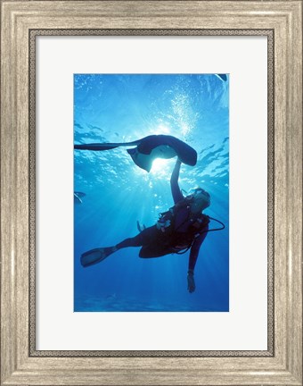 Framed Snorkeling, Stingray City, Grand Cayman, Caribbean Print