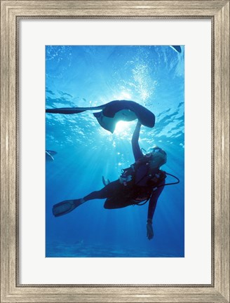 Framed Snorkeling, Stingray City, Grand Cayman, Caribbean Print