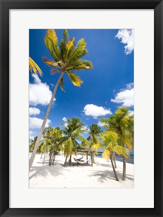Framed Southern Cross Club, Little Cayman, Cayman Islands, Caribbean Print