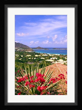 Framed Orient Bay and pink flowers, St Martin, Caribbean Print