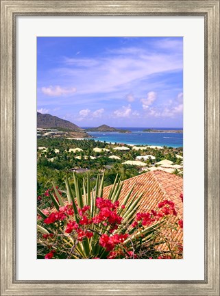 Framed Orient Bay and pink flowers, St Martin, Caribbean Print