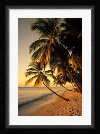 Framed Beach at Sunset, Trinidad, Caribbean Print