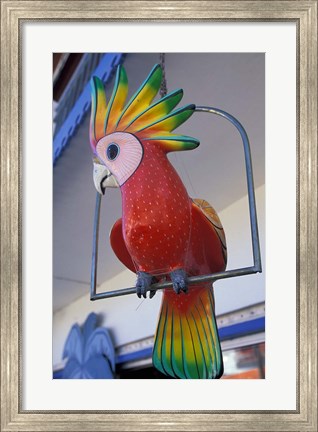 Framed Painted Tropical Bird, St Martin, Caribbean Print