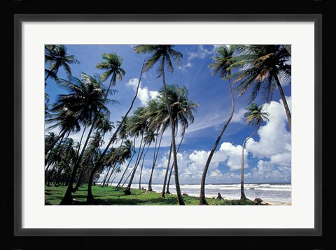 Framed View of Manzanilla Bay, Port of Spain, Trinidad, Caribbean Print