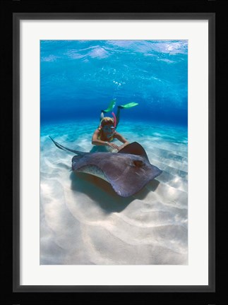 Framed Stingray City, Grand Cayman, Cayman Islands, Caribbean Print