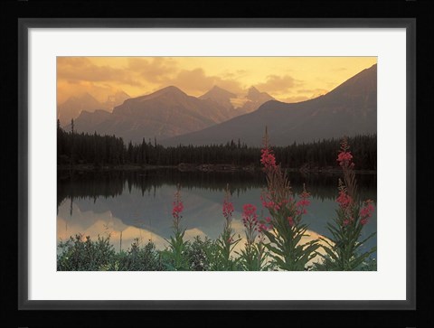 Framed Alberta, Banff, Lake Herbert, Canadian Rockies Print