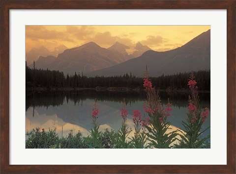 Framed Alberta, Banff, Lake Herbert, Canadian Rockies Print