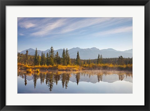 Framed Canada, Alberta, Jasper National Park Scenic of Cottonwood Slough Print