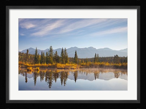 Framed Canada, Alberta, Jasper National Park Scenic of Cottonwood Slough Print