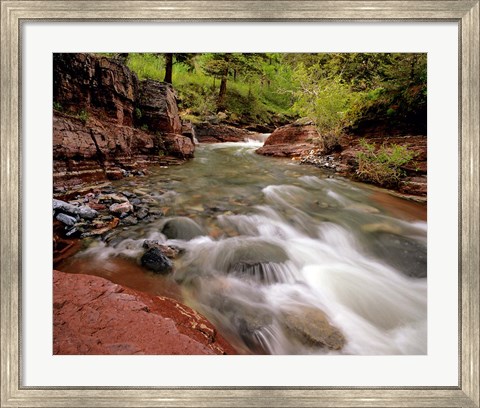 Framed Lost Horse Creek, Wateron Lakes National Park, Alberta, Canada Print