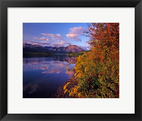 Framed Maskinonge Lake with mountains in the background, Waterton Lakes National Park, Alberta Print
