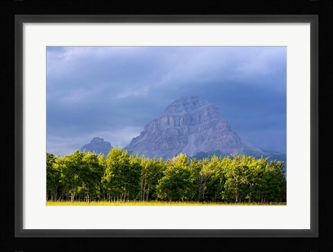 Framed Crowsnest Mountain at Crownest Pass in Alberta, Canada Print