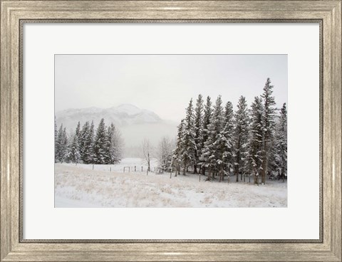 Framed Winter Views from Train, Alberta, Canada Print