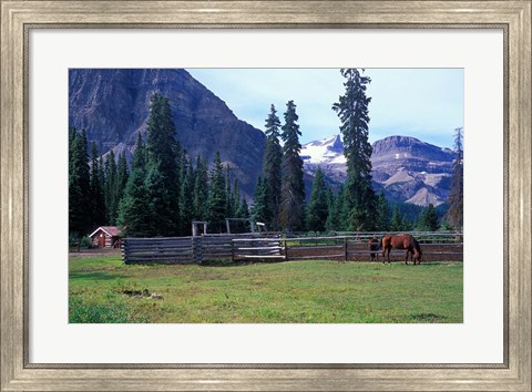 Framed Log Cabin, Horse and Corral, Banff National Park, Alberta, Canada Print