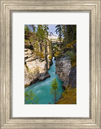Framed Athabasca Falls, Jasper National Park, Alberta, Canada Print
