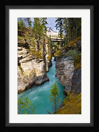 Framed Athabasca Falls, Jasper National Park, Alberta, Canada Print