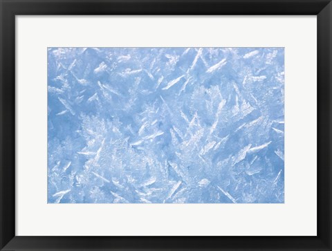 Framed Detail of Winter Snow Print