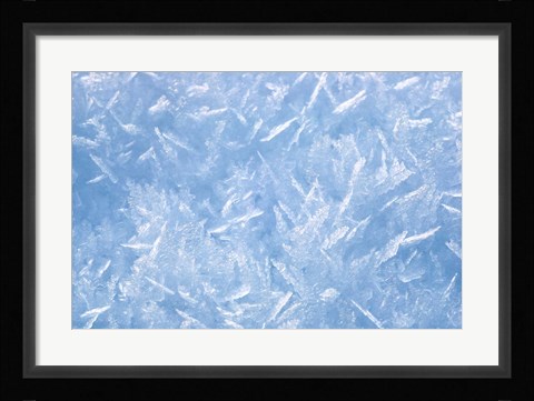 Framed Detail of Winter Snow Print