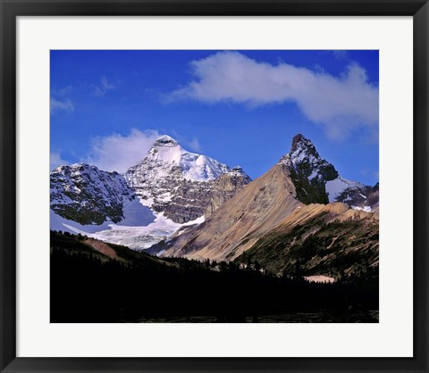 Framed Alberta, Mt Saskatchewan, Banff NP Print