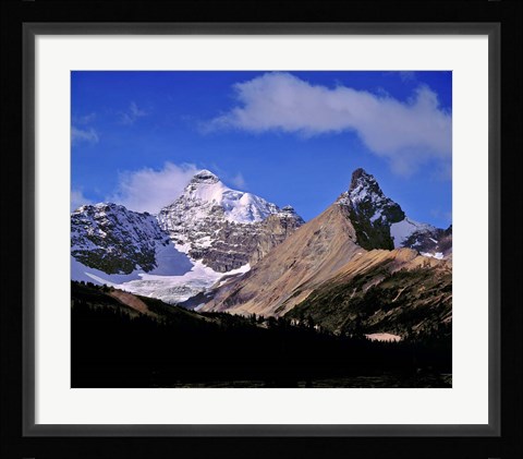 Framed Alberta, Mt Saskatchewan, Banff NP Print