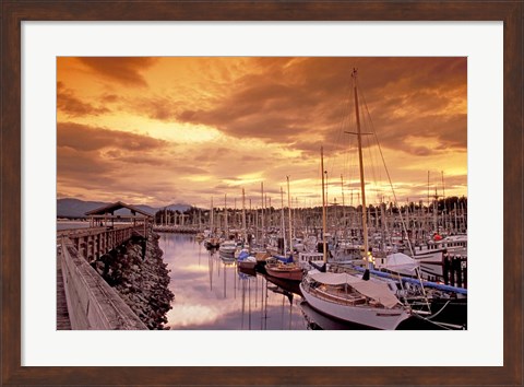 Framed Boats at Sunset, Comox Harbor, British Columbia Print
