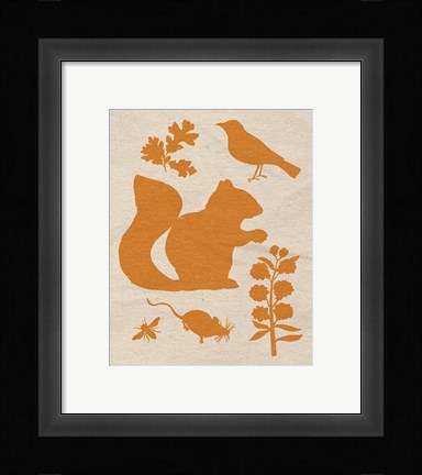 Framed Woodland Creatures II Print