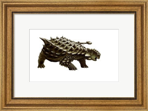 Framed armored Saichania ankylosaurid, white background Print