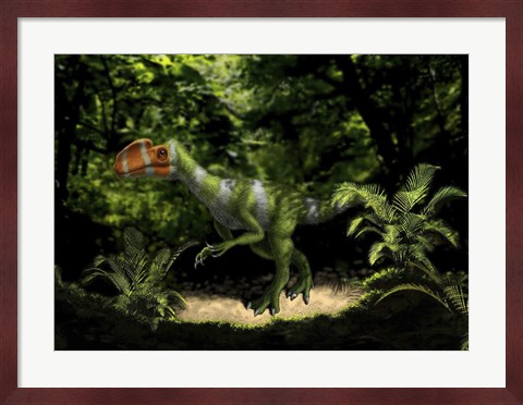 Framed Kileskus aristotocus of the Middle Jurassic Period Print