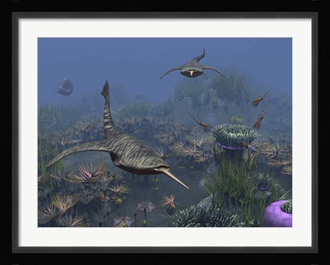 Framed Doryaspis swim amongst a bed of Anthozoa Print