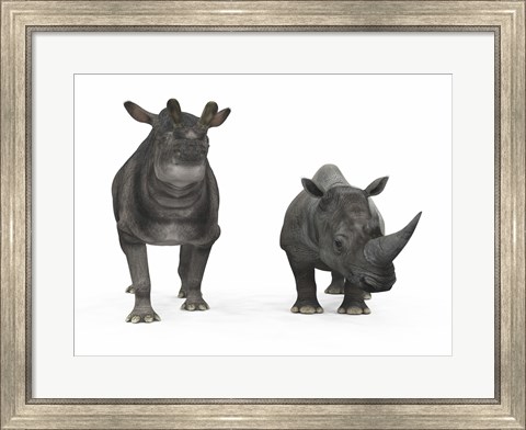 Framed adult Brontotherium compared to a modern adult White Rhinoceros Print