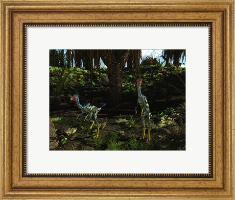 Framed Caudipteryx wander a prehistoric landscape Print