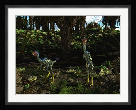 Framed Caudipteryx wander a prehistoric landscape Print