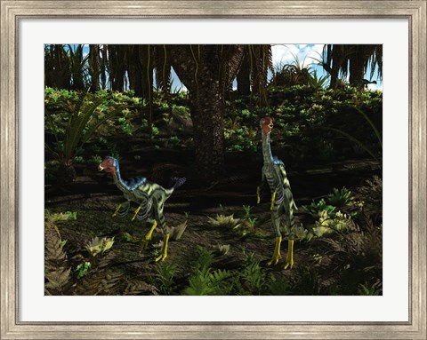 Framed Caudipteryx wander a prehistoric landscape Print