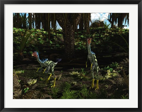 Framed Caudipteryx wander a prehistoric landscape Print