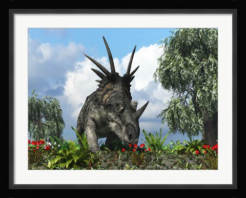 Framed Styracosaurus samples flowers of the order Ericales Print