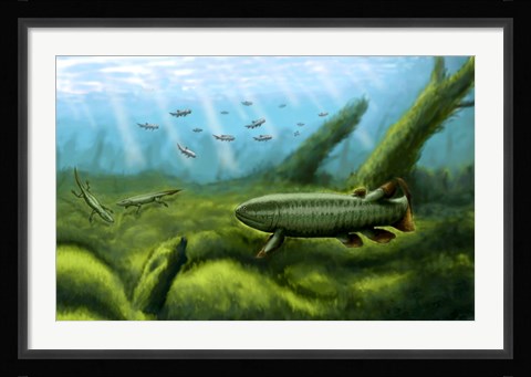 Framed Holoptychius, Tulerpeton and Moythomasia, prehistoric fish of the Devonian period Print