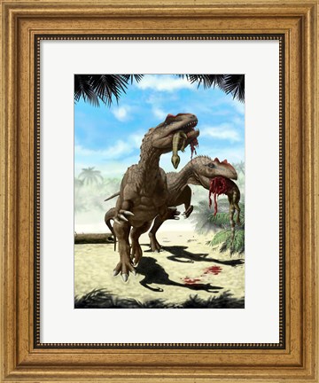 Framed Two Allosaurus with a Hypsilophodon in mouth as next meal Print
