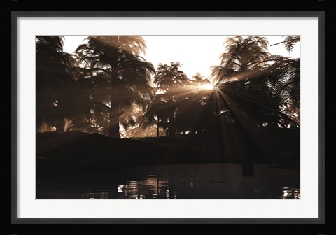 Framed Late Devonian sun sets behind a forest of Archaeopteris plants Print