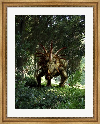 Framed Styracosaurus in a forest Print