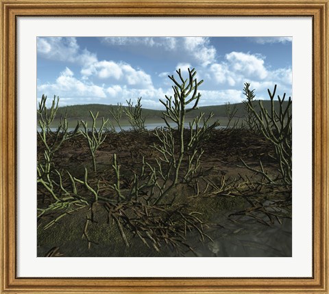 Framed Prehistoric landscape of Silu-Devonian land plants with branching axes Print