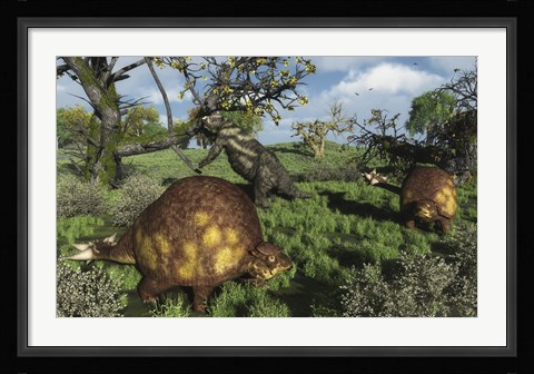 Framed Prehistoric glyptodonts graze on grassy plains An Eremotherium is in the background Print